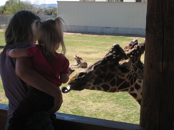 2nd Birthday at the zoo 30.JPG